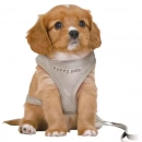 Фото - Категорії Trixie Junior Puppy Soft Harness with Lead шлейка з повідцем для цуценят, світло-сірий