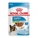 Фото - влажный корм (консервы) Royal Canin X-SMALL PUPPY влажный корм для щенков миниатюрных пород