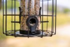 Фото - кормушки и поилки Trixie Диспенсер для еды с защитной клеткой для садовых птиц (55426)