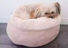 Фото - лежаки, матраси, килимки та будиночки Trixie Elsie Лежак для собак, бежевий