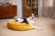 Фото - лежаки, матрасы, коврики и домики Harley & Cho MEMORY FOAM ISLAND YELLOW ортопедическая подушка для собак и кошек, желтый