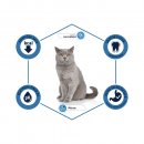 Advance (Едванс) Cat Sterilized - корм для стерилізованих котів та кішок З ІНДИЧКОЮ