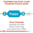 Фото - сухий корм Royal Canin PUG PUPPY (МОПС ПАППІ) корм для цуценята до 10 місяців