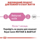 Фото - заменитель кошачьего молока Royal Canin BABYCAT MILK (БЕБИКЕТ МИЛК) заменитель молока для котят