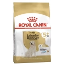 Фото - сухий корм Royal Canin LABRADOR RETRIEVER 5+ (ЛАБРАДОР РЕТРІВЕР 5+) корм для собак старше 5 років