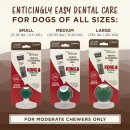 Фото - для зубів та пащі Tropiclean ENTICERS Набір для догляду за ротовою порожниною собак: кулька Kong і гель зі смаком яловичої грудки