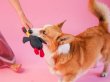 Фото - іграшки Harley & Cho Хосе Карлос Graphite м'яка іграшка для собак, графіт