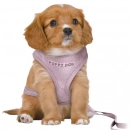 Фото - амуніція Trixie Junior Puppy Soft Harness with Lead шлейка з повідцем для цуценят, бузковий