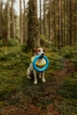 Фото - іграшки Collar PULLER Colors of Freedom тренувальний снаряд для собак (2 кільця)