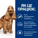 Фото - ветеринарні корми Hill's Prescription Diet Canine z/d Food Sensitivities корм для собак із чутливим травленням