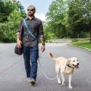 Фото - Категории Kurgo Sling Thing слинг через плечо для выгула собак, голубой