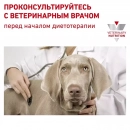 Фото - ветеринарные корма Royal Canin EARLY RENAL лечебный корм для собак при ранней стадии почечной недостаточности