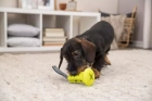 Фото - игрушки Trixie КОЛОКОЛЬЧИК игрушка для лакомств для собак с ремнем (33412)