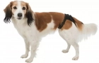 Фото - підгузки та трусики Trixie Захисні трусики для собак під час тічки
