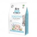 Фото - сухой корм Brit Care Cat Grain Free Sensitive Insect & Herring беззерновой сухой корм для кошек с чувствительным пищеварением НАСЕКОМЫЕ И СЕЛЬДЬ
