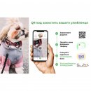 Фото - амуніція Collar WAUDOG Nylon Recycled градієнт, нейлоновий нашийник для собак з QR паспортом, помаранчевий