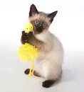 Фото - іграшки Trixie Курча з Дзвоником іграшка для котів