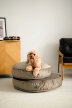 Фото - лежаки, матраси, килимки та будиночки Harley & Cho MEMORY FOAM ISLAND OLIVE ортопедична подушка для собак та кішок, оливковий