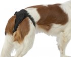 Фото - підгузки та трусики Trixie Comfort труси гігієнічні для тічки собак (сітка), чорний