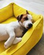 Фото - лежаки, матрасы, коврики и домики Harley & Cho DREAMER VELVET YELLOW лежак для собак (вельвет), желтый