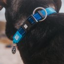 Фото - амуніція Max & Molly Urban Pets Smart ID Collar нашийник для собак з QR-кодом Matrix Sky Blue