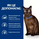 Фото - ветеринарні корми Hill's Prescription Diet m/d Diabetes/Weight Management корм для кішок з куркою
