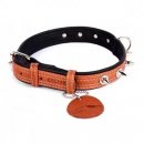 Фото - амуниция Collar SOFT - кожаный ошейник с шипами для собак, коричневый