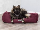 Фото - лежаки, матраси, килимки та будиночки Trixie Talis лежак для собак, ягідний