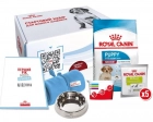 Фото - сухий корм Royal Canin MEDIUM PUPPY корм для цуценят середніх порід від 2 до 12 місяців