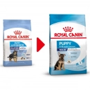 Royal Canin MAXI PUPPY корм для щенков крупных пород от 2 до 15 месяцев