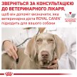 Фото - ветеринарні корми Royal Canin URINARY S/O SMALL DOG сухий лікувальний корм для собак малих порід (менше 10 кг), 1,5 кг