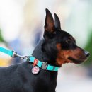 Фото - амуниция Collar WAUDOG WATERPROOF суперпрочный поводок для собак из водоотталкивающего материала, ментоловый светящийся