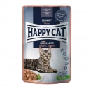 Фото - влажный корм (консервы) Happy Cat (Хэппи Кет) MEAT IN SAUCE CULINARY ATLANTIK SALMON влажный корм для стерилизованных кошек кусочки в соусе АТЛАНТИЧЕСКИЙ ЛОСОСЬ
