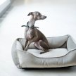 Фото - лежаки, матрасы, коврики и домики Harley & Cho DREAMER VELOUR GRAY лежак для собак (велюр), серый