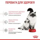 Royal Canin Mother & Babycat (БЕБИКЭТ) cухой корм для котят 1-4 месяца, беременных и лактирующих