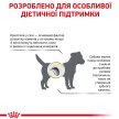 Фото - ветеринарні корми Royal Canin URINARY S/O SMALL DOG сухий лікувальний корм для собак малих порід (менше 10 кг), 1,5 кг