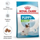 Фото - сухой корм Royal Canin X-SMALL PUPPY (ЩЕНКИ МЕЛКИХ ПОРОД) корм для щенков до 10 месяцев