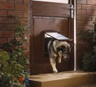 Фото - двери врезные Staywell (Стейвел) ОРИГИНАЛ Дверцы для собак и котов, коричневый