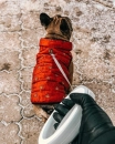 Фото - одежда Collar WAUDOG курточка для собак СУПЕРМЕН КРАСНЫЙ