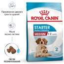Фото - сухий корм Royal Canin MEDIUM STARTER MOTHER & BABYDOG корм для вагітних та годуючих сук та цуценят середніх порід