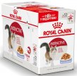 Фото - влажный корм (консервы) Royal Canin INSTINCTIVE in JELLY консервы для кошек