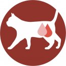 Фото - вологий корм (консерви) Purina One (Пуріна Ван) Sterilcat вологий корм для стерилізованих котів ІНДИЧКА ТА ЗЕЛЕНА КВАСОЛЯ, шматочки в соусі гриль
