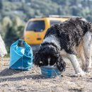 Фото - миски, поилки, фонтаны Kurgo Mash&Stash Collapsible Dog Bowl миска складная дорожная с карабином для собак, синий