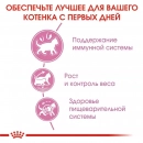 Фото - сухой корм Royal Canin KITTEN STERILISED (КИТТЕН СТЕРИЛИЗЕД) корм для стерилизованных котят от 6 до 12 месяцев