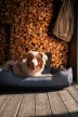 Фото - лежаки, матрасы, коврики и домики Harley & Cho DREAMER WATERPROOF GRAY водостойкий лежак для собак, серый
