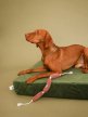 Фото - лежаки, матрасы, коврики и домики Harley & Cho OLIVER VELUR GREEN ортопедический матрас для собак (велюр), зеленый