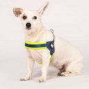 Фото - амуниция Max & Molly Urban Pets Q-Fit Harness шлея для собак Matrix Lime Green