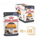 Фото - влажный корм (консервы) Royal Canin INTENSE BEAUTY in JELLY корм для кошек