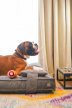 Фото - лежаки, матраси, килимки та будиночки Harley & Cho MEMORY FOAM GRAY ортопедична подушка для собак, сірий