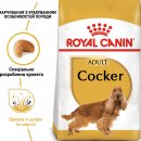Фото - сухий корм Royal Canin COCKER ADULT (КОКЕР ЕДАЛТ) корм для собак від 10 місяців